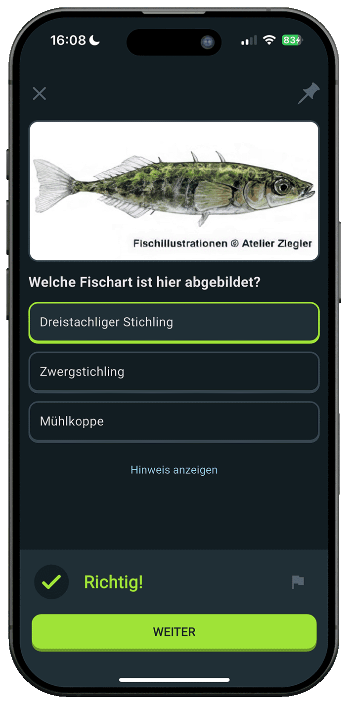 Die App auf dem Smartphone: Bildfrage zur Fischart