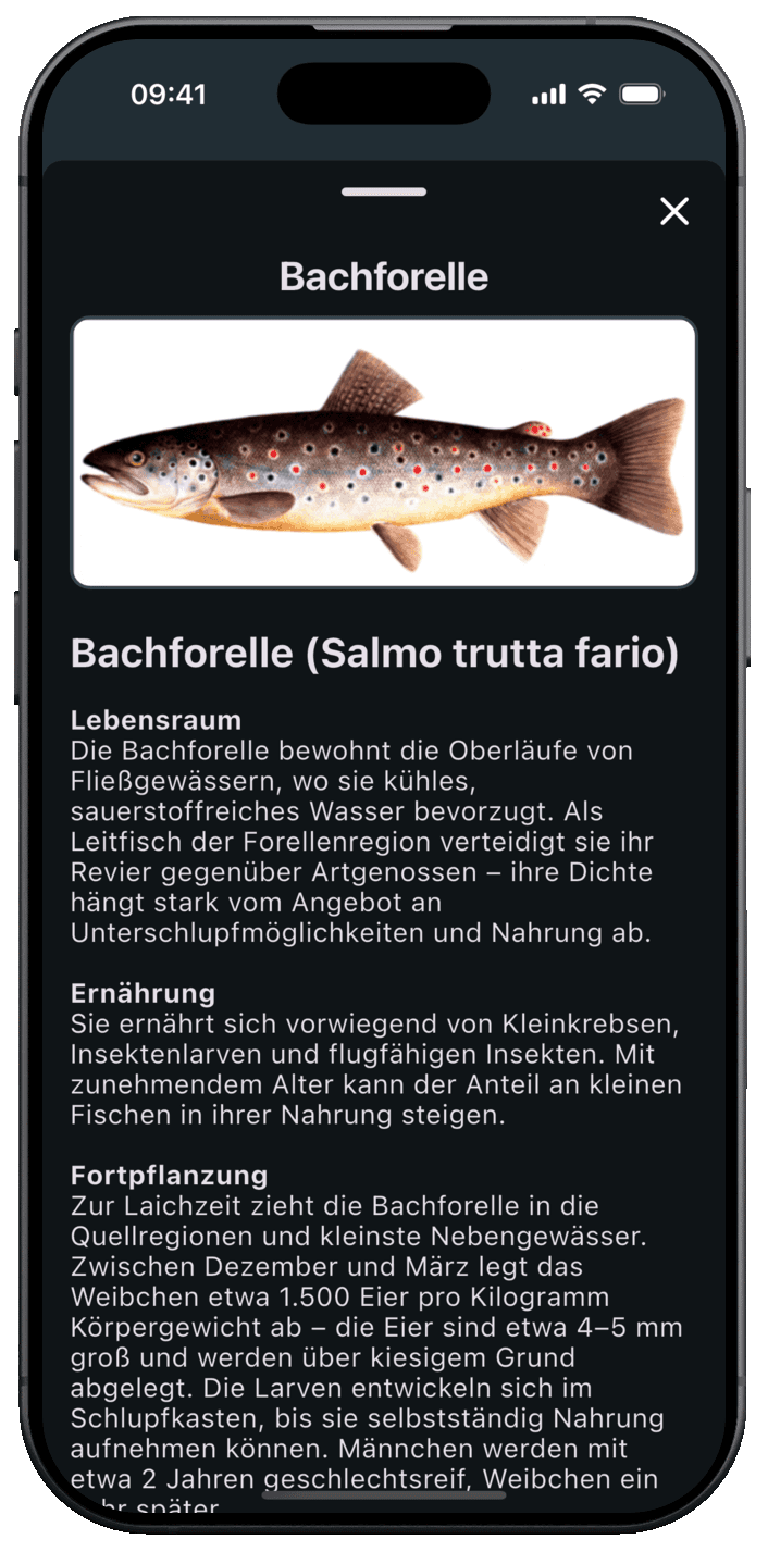 Angelschein Online App – Lernfortschritt