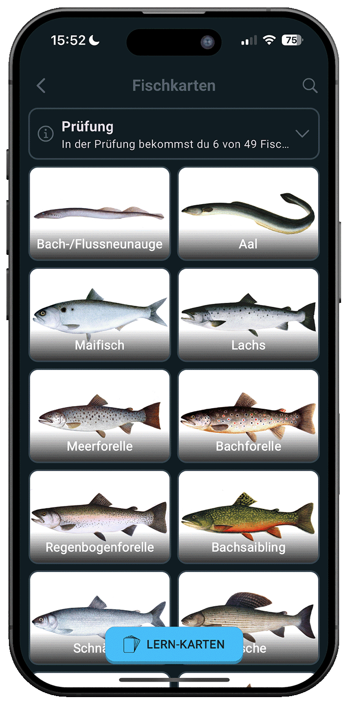 Angelschein Online App – Lernfortschritt