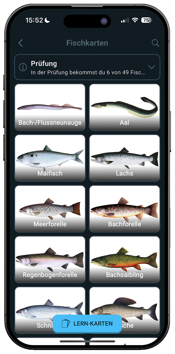 Angelschein Online iPhone Screenshot